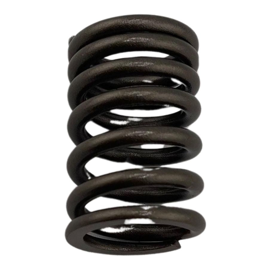 Resorte interior de valvula (RKG150)