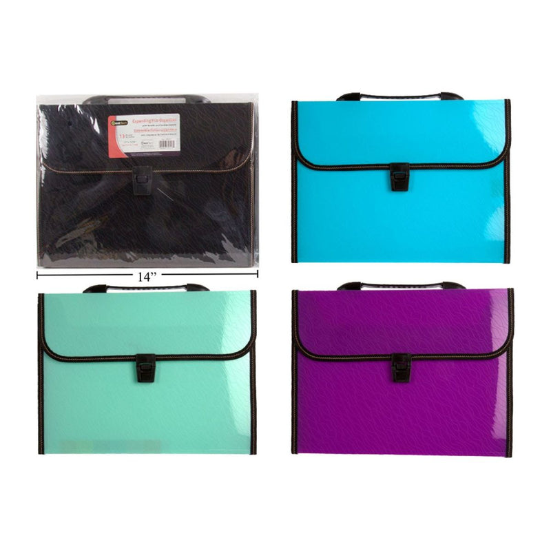 Organizador archivos 13 paquetes Tam.carta asa solapa de bloqueo (1pza)(colores variados al azar)