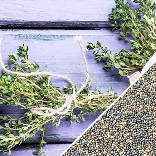 Semillas de tomillo (100% Heirloom/No Híbrido/No GMO). 310 semillas aproximadamente.