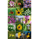 Semillas surtidas de flores silvestres perennes. Incluye 16 variedades