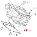 Empacadura de cilindro (LEONCINO250 / TNT25 / TRK251)