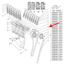 Cadena del arbol de levas (302S / TNT600)