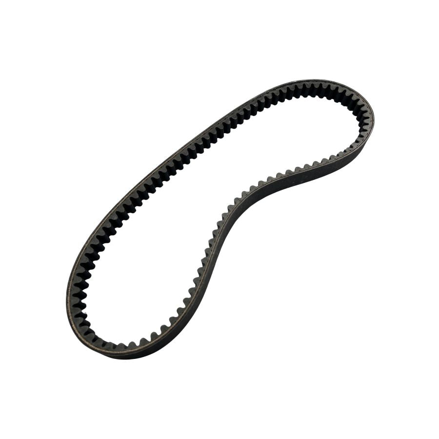 Correa (ZAFFERANO250)