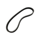 Correa (ZAFFERANO250)