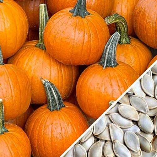 Semillas de zapallo (100% Heirloom / No Híbrida / No GMO). 10 semillas aproximadamente.