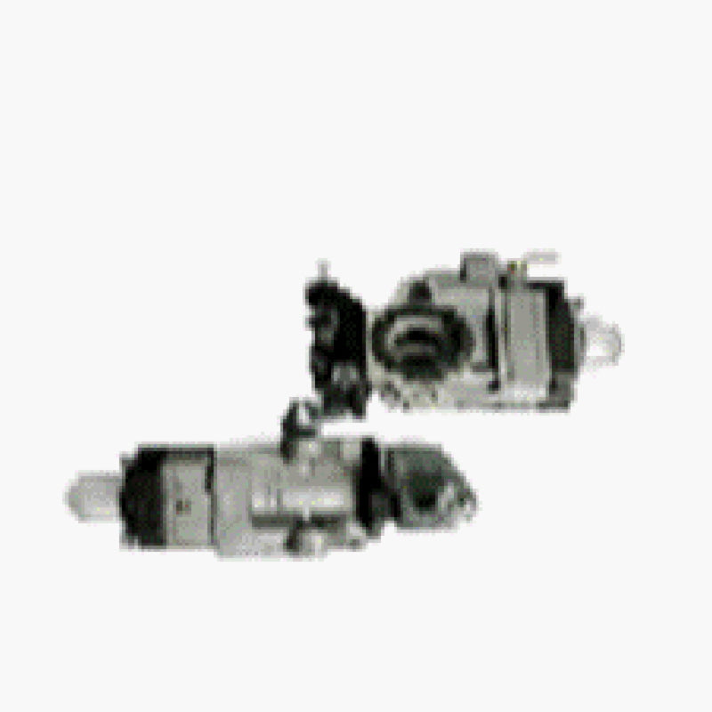 Carburador Assy (XZJ0000038)