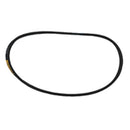 Correa (AC001001255)