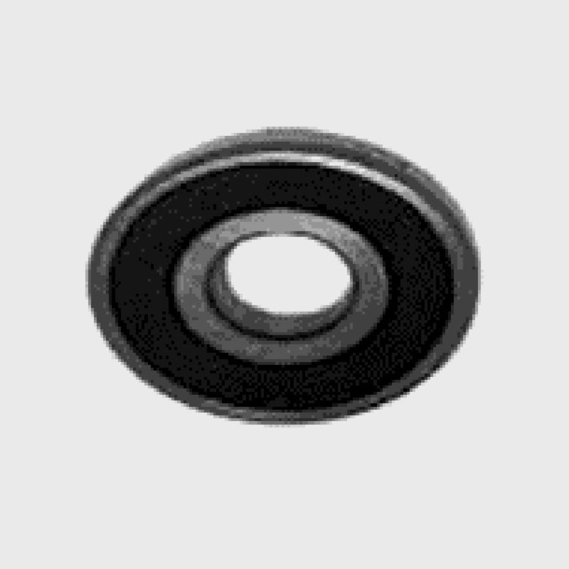 Rodamiento (A1016302000)