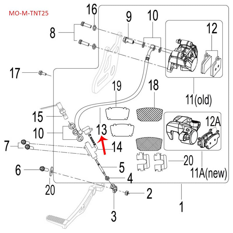 Manguera de freno trasero (TNT25)