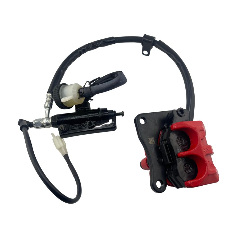 Kit completo de freno trasero (TNT150) (CODIGO ANTERIOR 55900L290000)