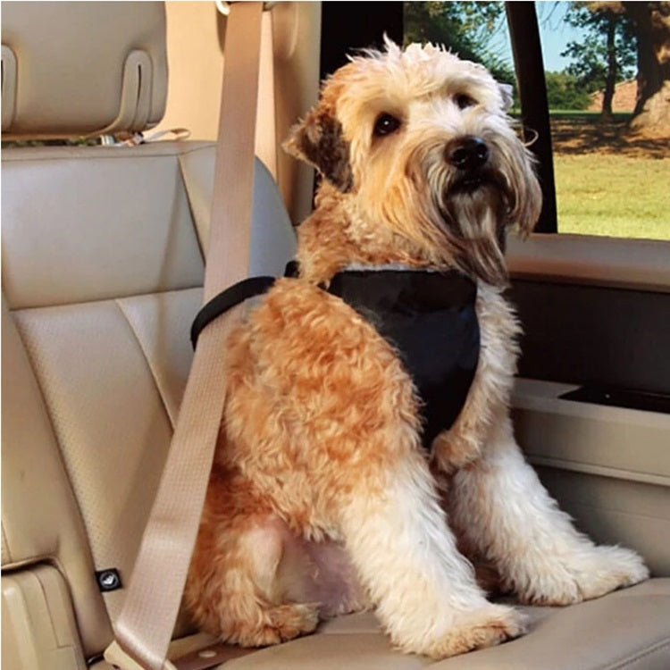 Arnes Pechera para mascota, para transportar en auto. Tamaño S.