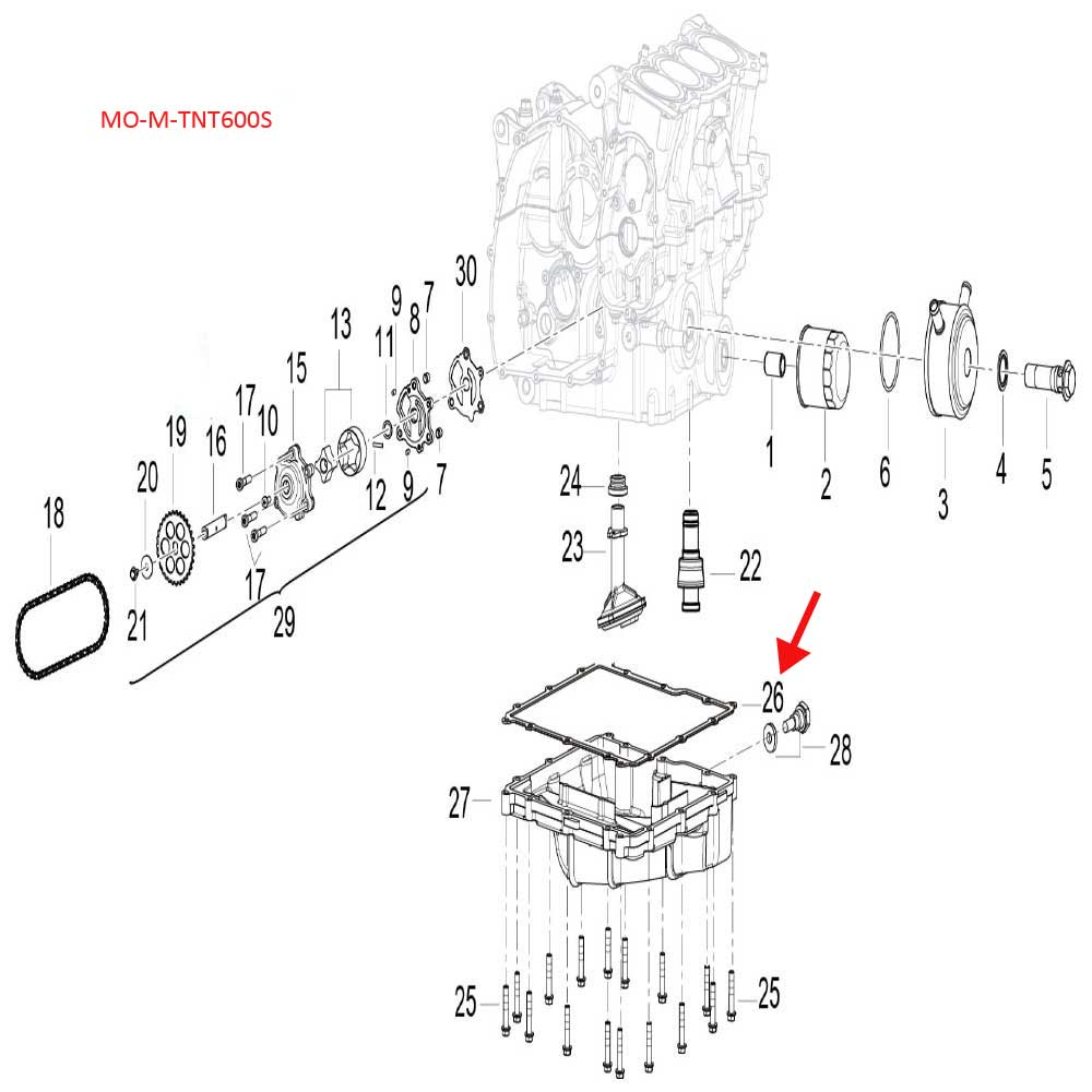 Empacadura de carter (TNT600)