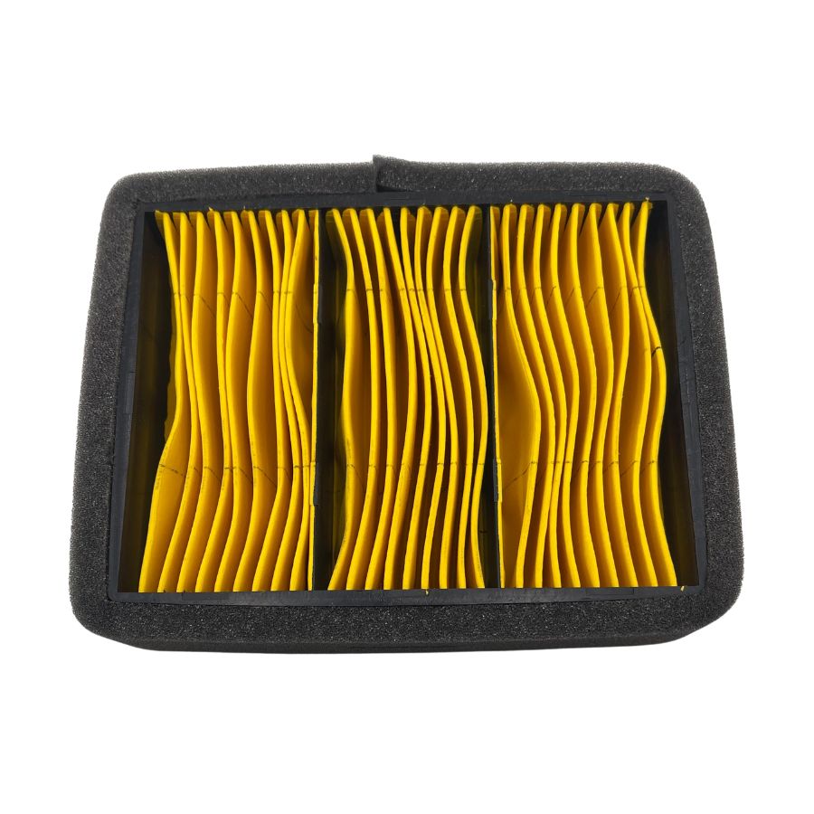 Filtro de aire (LEONCINO500)