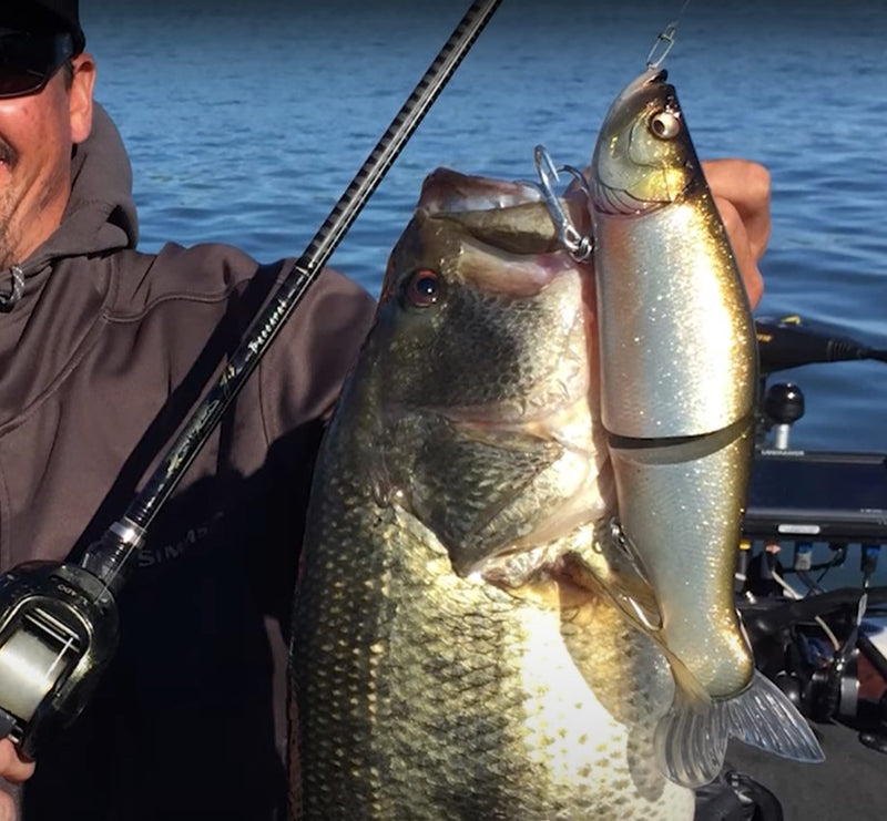 Señuelo de dos secciones 17 cm