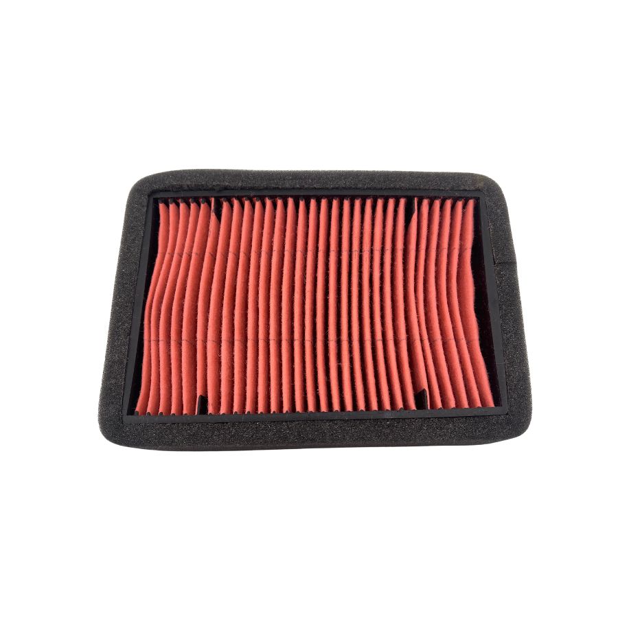 Filtro de aire (TNT25N)