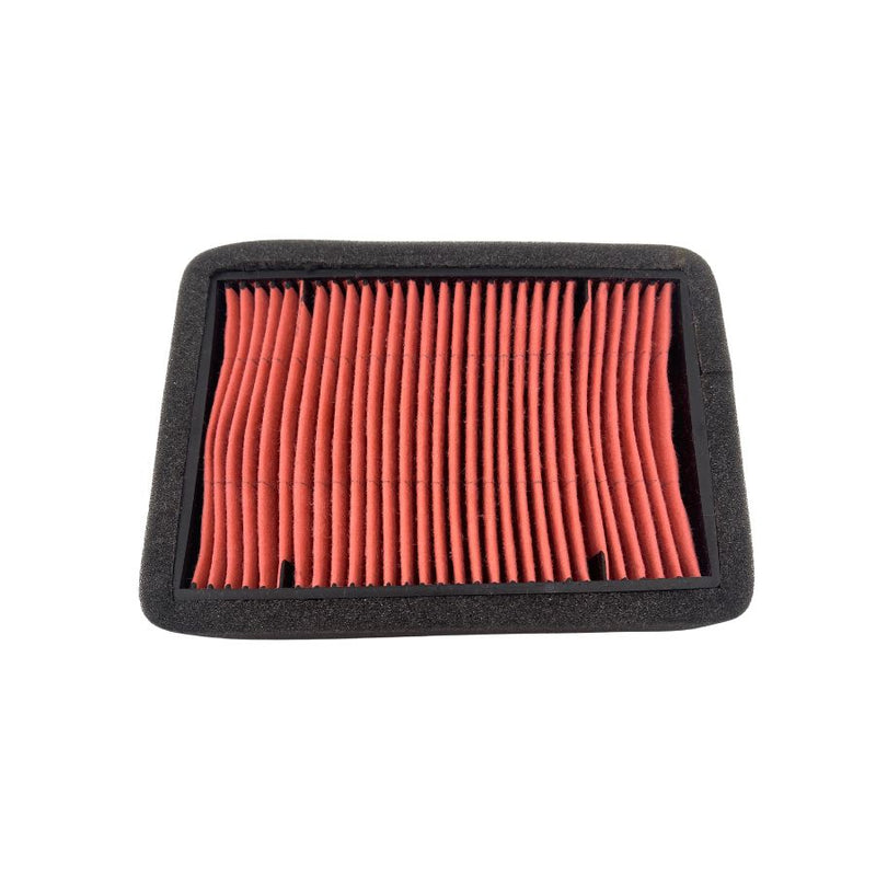 Filtro de aire (TNT25N)