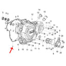 Empacadura del carter derecho (LEONCINO250 / TNT25 / TRK251)