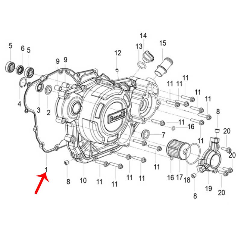 Empacadura del carter derecho (LEONCINO250 / TNT25 / TRK251)