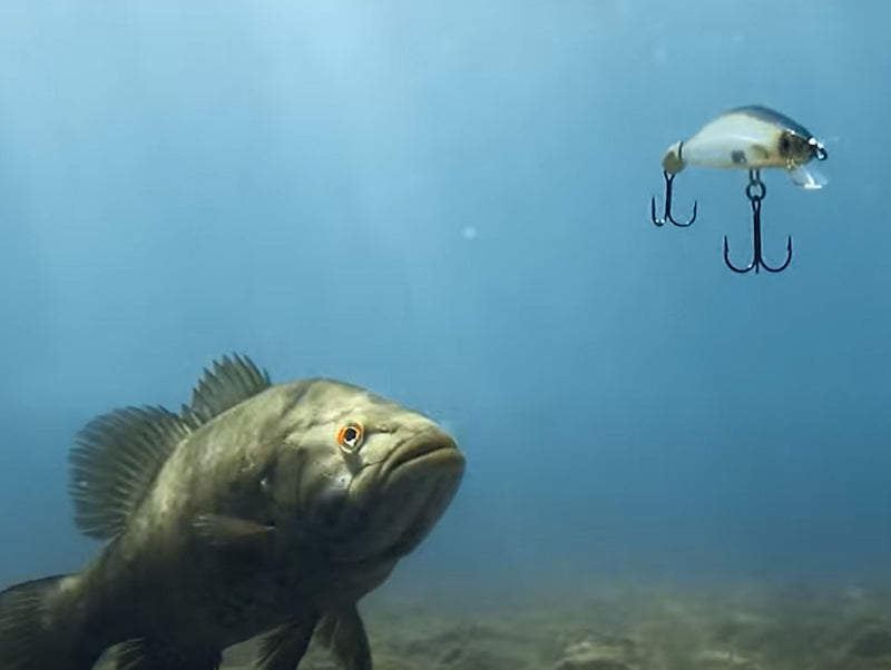 Señuelo Minnow 5 Uds. Kit 140mm