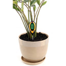 Medidor PH suelo, termómetro, medidor de humedad y medidor de intensidad de luz