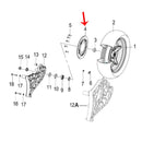 Disco de freno delantero (también es trasero) (ZAFFERANO250)