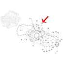 Tapon de llenado de aceite (302S / LEONCINO500 / TRK502X)