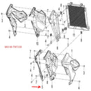 Panel decorativo interior delantero izquierdo (TNT150)