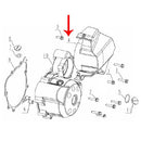 Covertor decorativo del piñon (TX200)