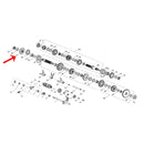 Piñon (302S / LEONCINO500 / TRK502X / TNT600)