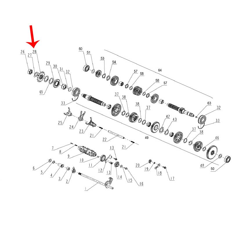 Piñon (302S / LEONCINO500 / TRK502X / TNT600)