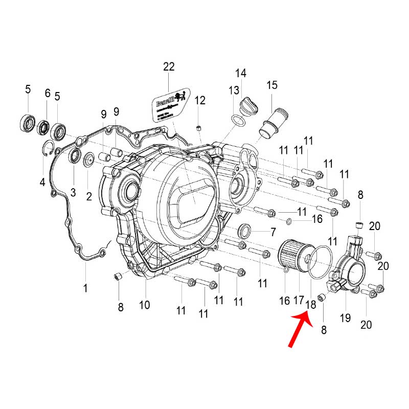 O Ring (LEONCINO250 / TNT25 / TRK251)