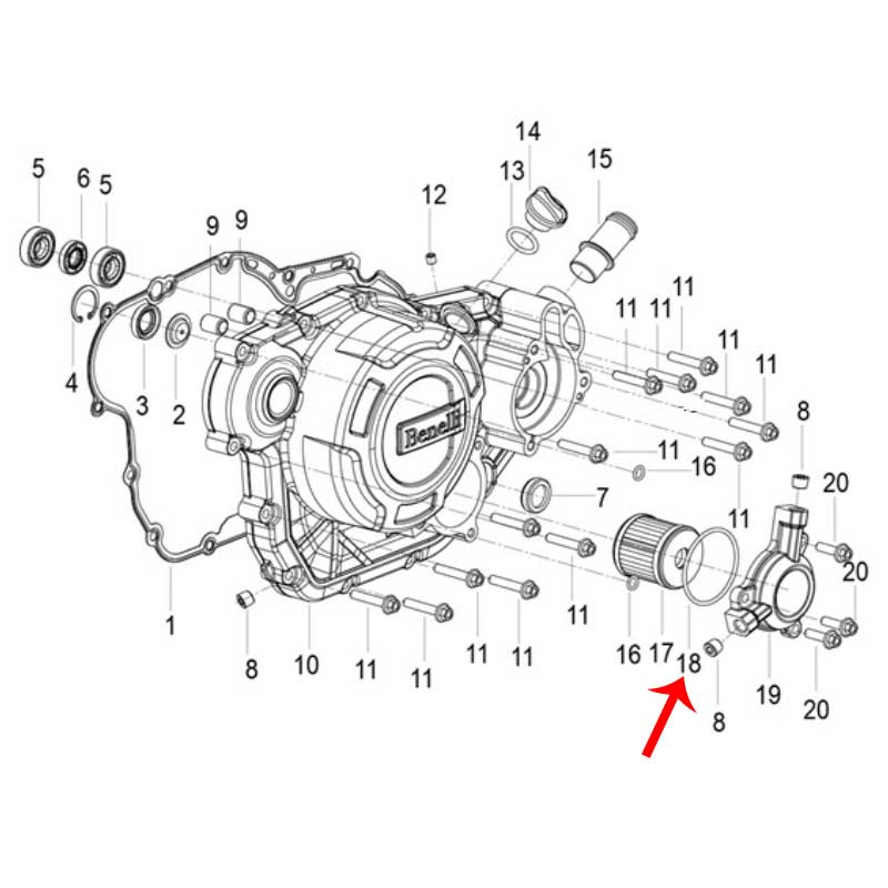 O Ring (LEONCINO250 / TNT25 / TRK251)