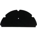 Filtro de aire (TNT600)