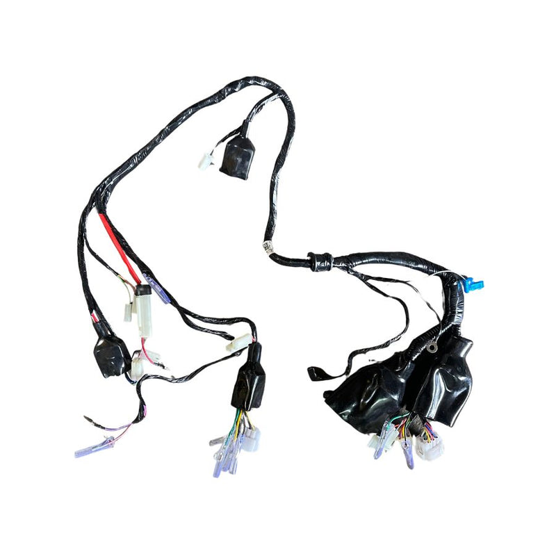 Arnes de cableado electrico (TX200)