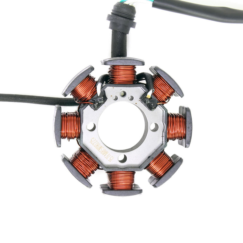 Estator (RKG150 / TX200) (CODIGO NUEVO 299033070070)