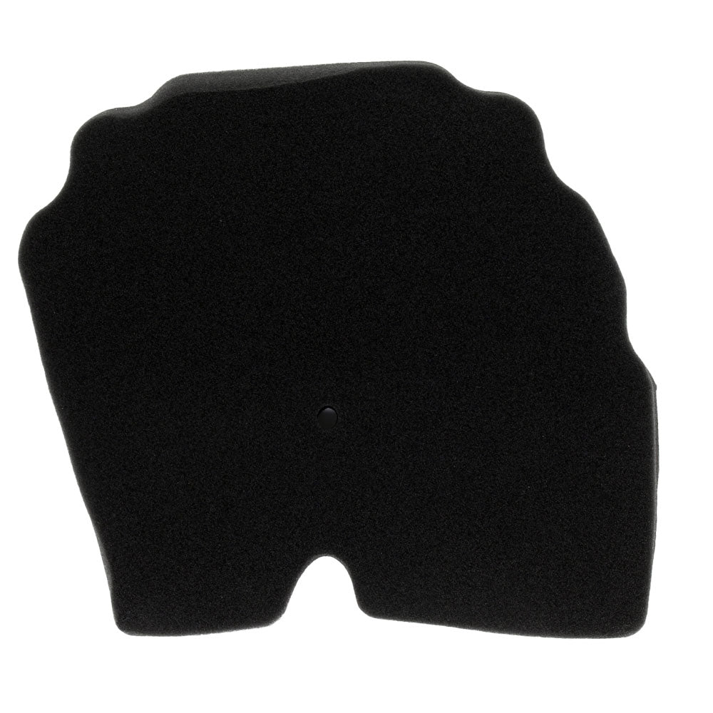 Filtro de aire (TRK502X)