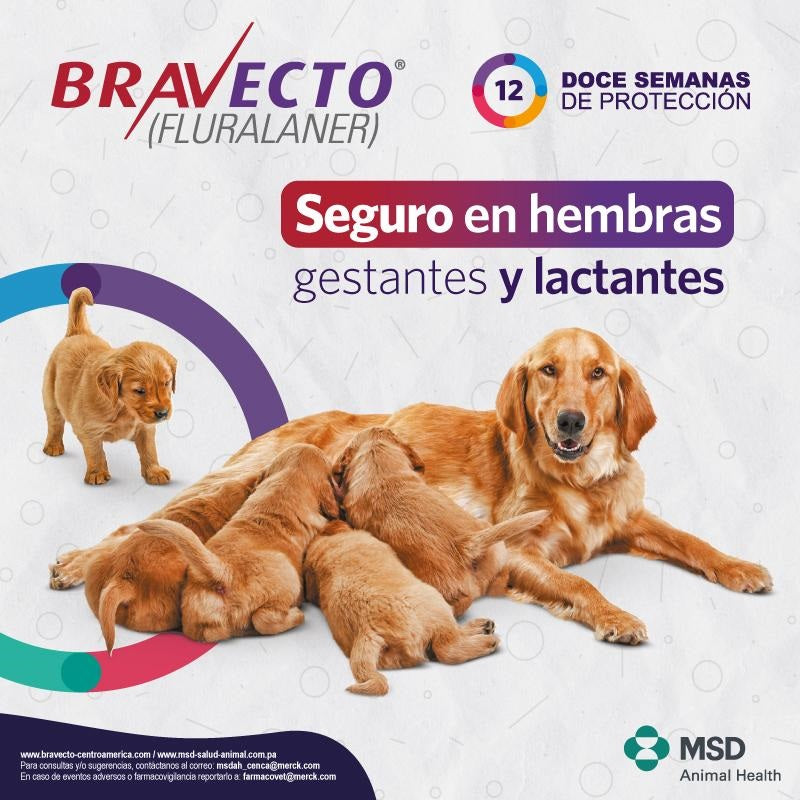 Bravecto de 250mg para perros pequeños (4.5-10kg)