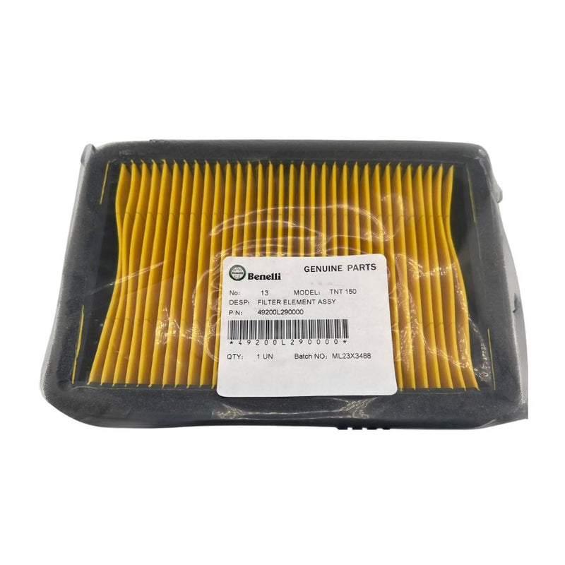 Filtro de aire (TNT150)